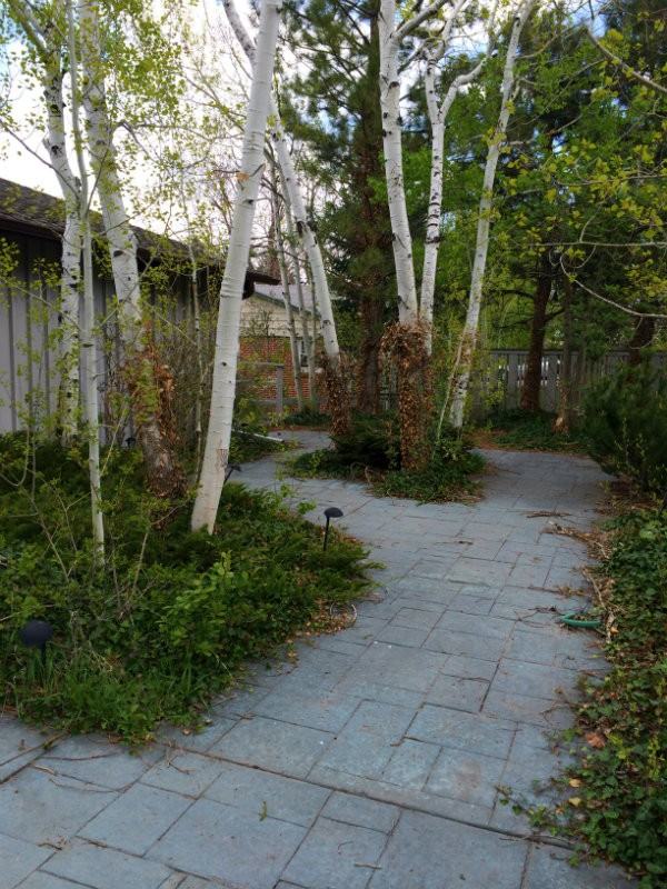 421 Baseline Road - Photo 2 of 15