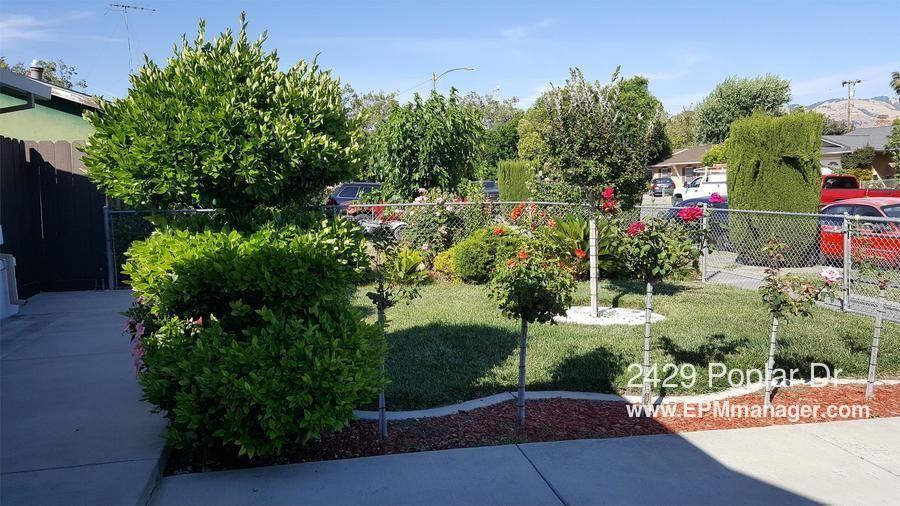 2429 Poplar Dr - Photo 2 of 9