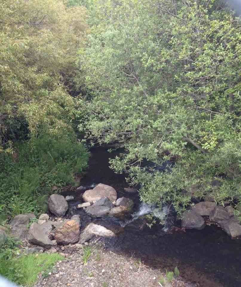 1323 Rosita Road - Photo 2 of 12