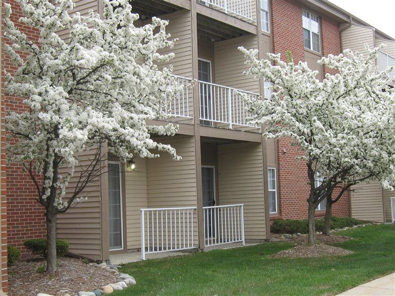 Brookhaven Manor - Photo 2 of 16