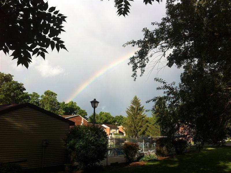 Arbor Trails - Photo 3 of 43