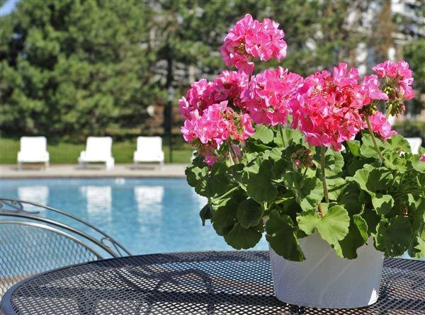 Stone Ridge - Photo 3 of 10