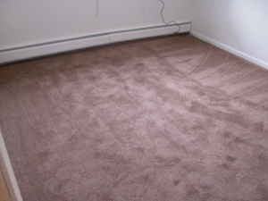 Glenwood Apartments - Photo 3 of 3