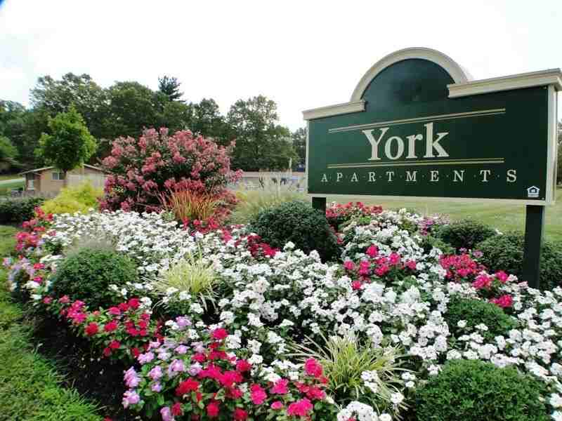 York Apartments - Photo 2 of 9