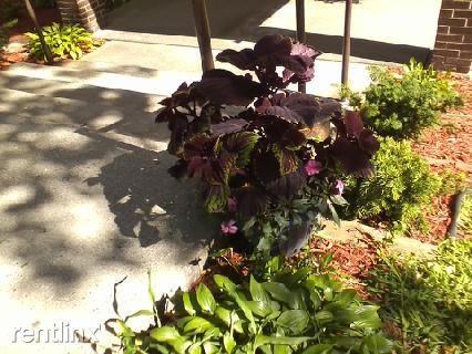 Kearsley Manor Senior Apartments - Photo 3 of 6