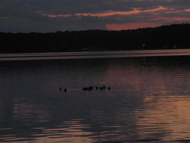 22244-22320 Lake Dr - Photo 3 of 27