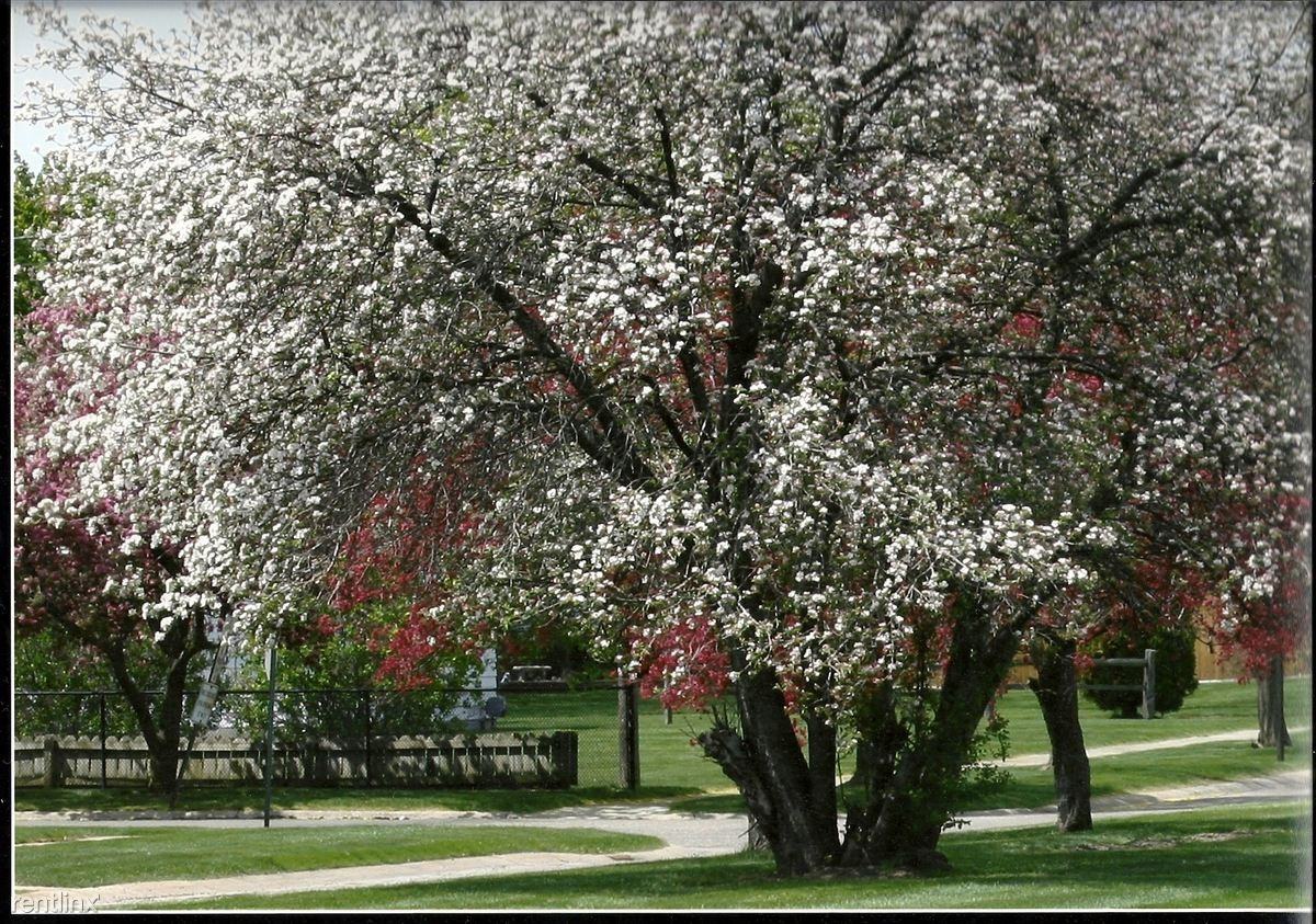 Collingwood Village Apartments - Photo 2 of 17