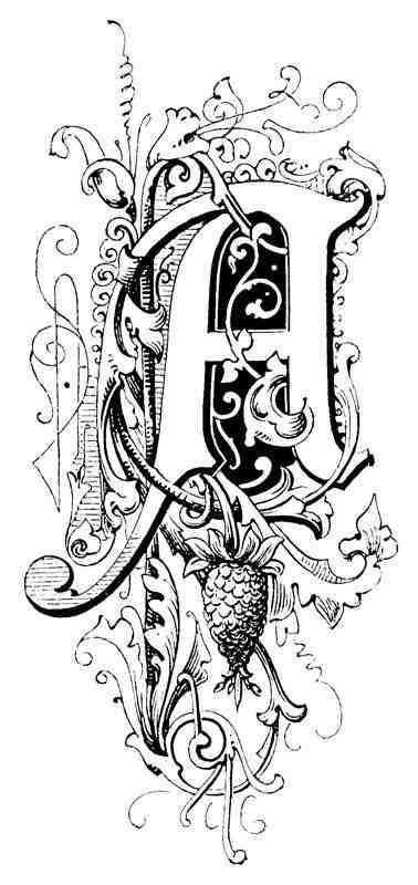 1202 Virginia St - Photo 2 of 24