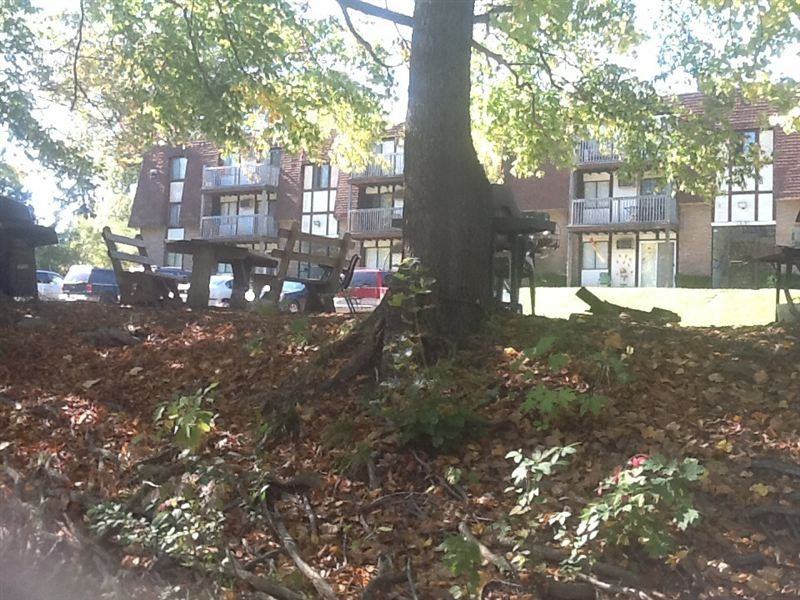 Watersedge landing - Photo 2 of 10