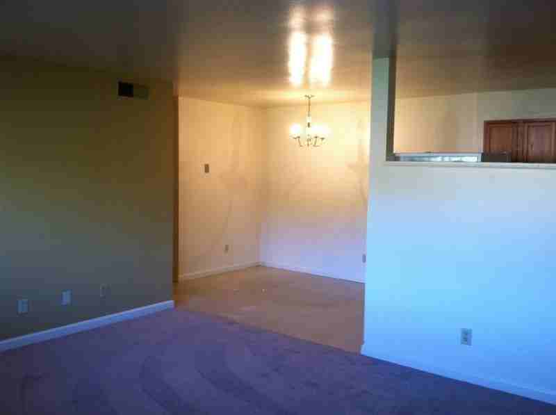 Airy Woods - Photo 2 of 8