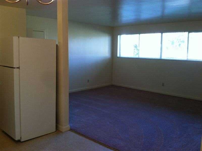 Airy Woods - Photo 3 of 8