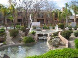 The 51 and Thunderbird - Photo 3 of 11