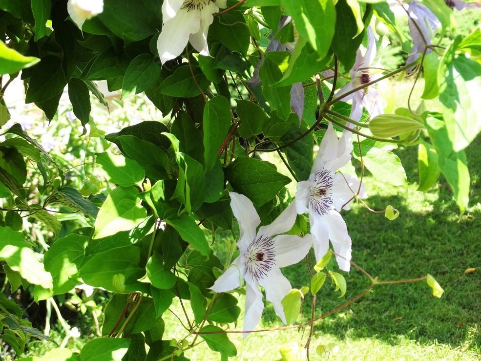 43 Hilldale Dr - Photo 3 of 24