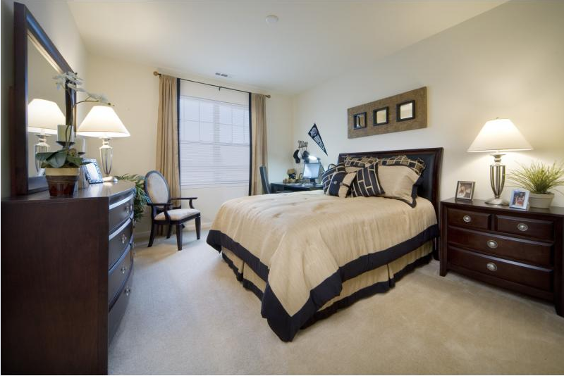 7339 Patriot Way - Photo 3 of 12