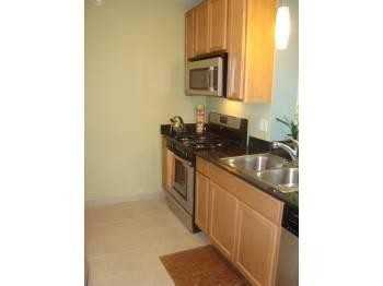 1 River North/River West/Alta K Station - Photo 3 of 6