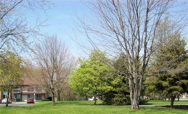 Jacklyn Apartments - Photo 2 of 8