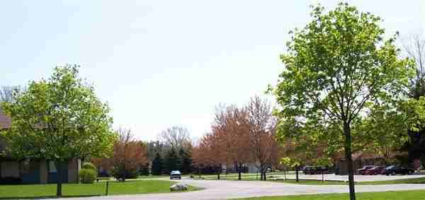 Jacklyn Apartments - Photo 3 of 8