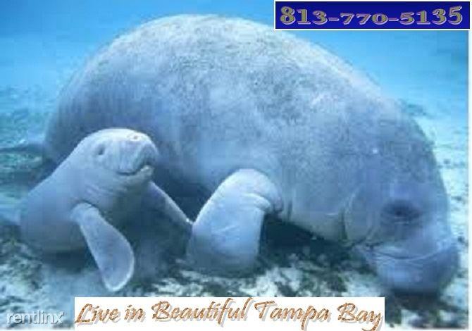 2026 Phyllis Pl #17 - Photo 3 of 4