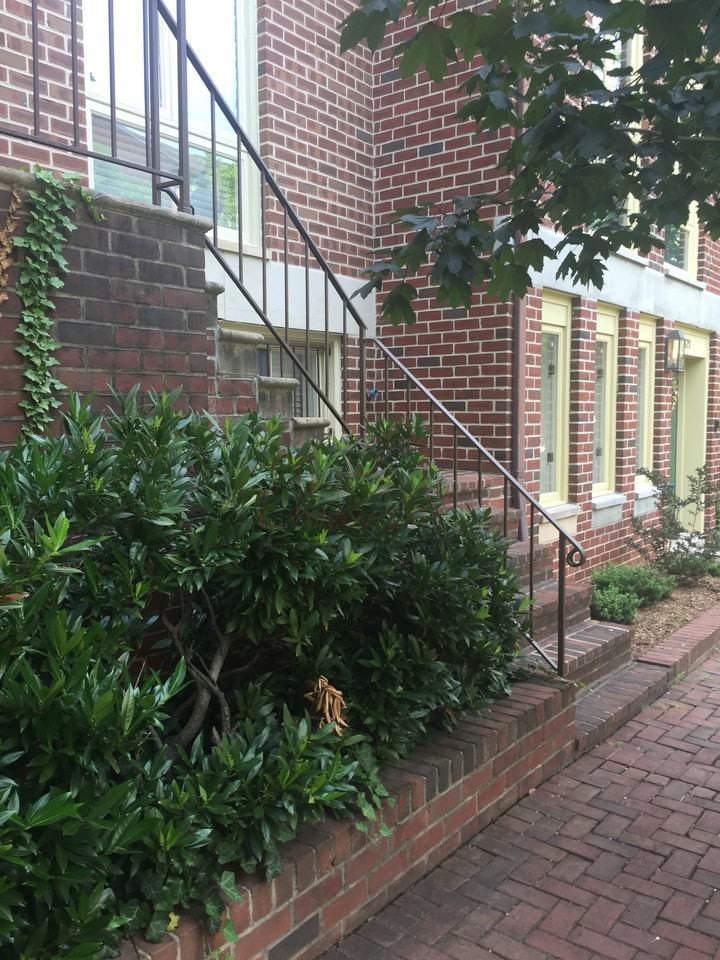 619 South Hanover Street - Photo 3 of 29