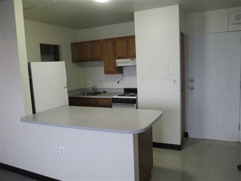 Lincoln Park Tower - Photo 2 of 8