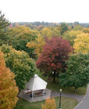 Mount Mercy Apartments - Photo 3 of 3