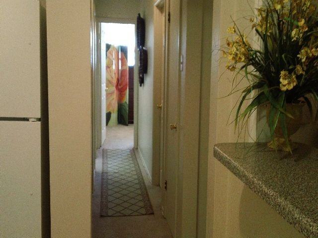 Eden Rock Apts - Photo 3 of 10