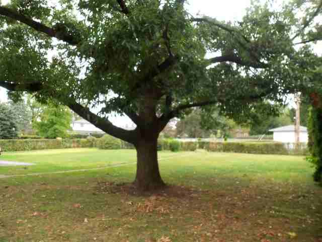 125 W Governor Rd - Photo 3 of 15