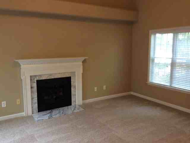 1206 Ventura Springs Ct - Photo 2 of 12