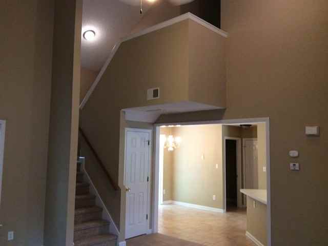 1206 Ventura Springs Ct - Photo 3 of 12
