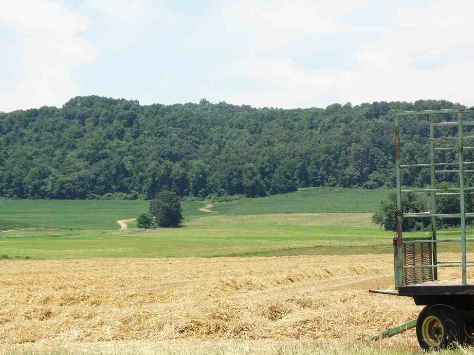 1235 PA-897 - Photo 2 of 22