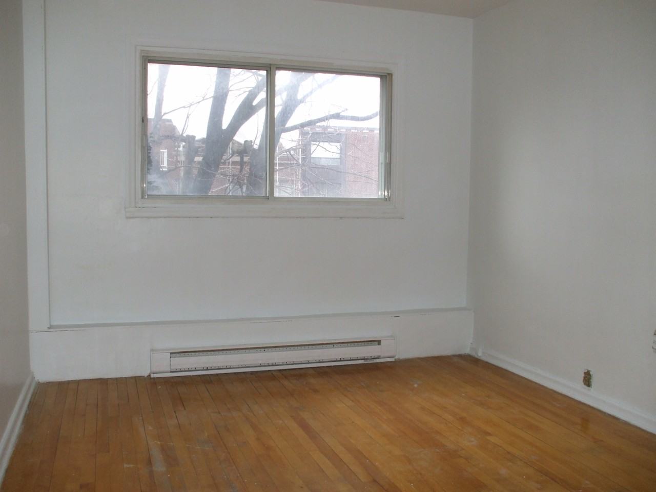 450 Avenue Bourke - Photo 3 of 5