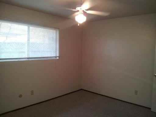 704 Adeline Pl - Photo 3 of 5