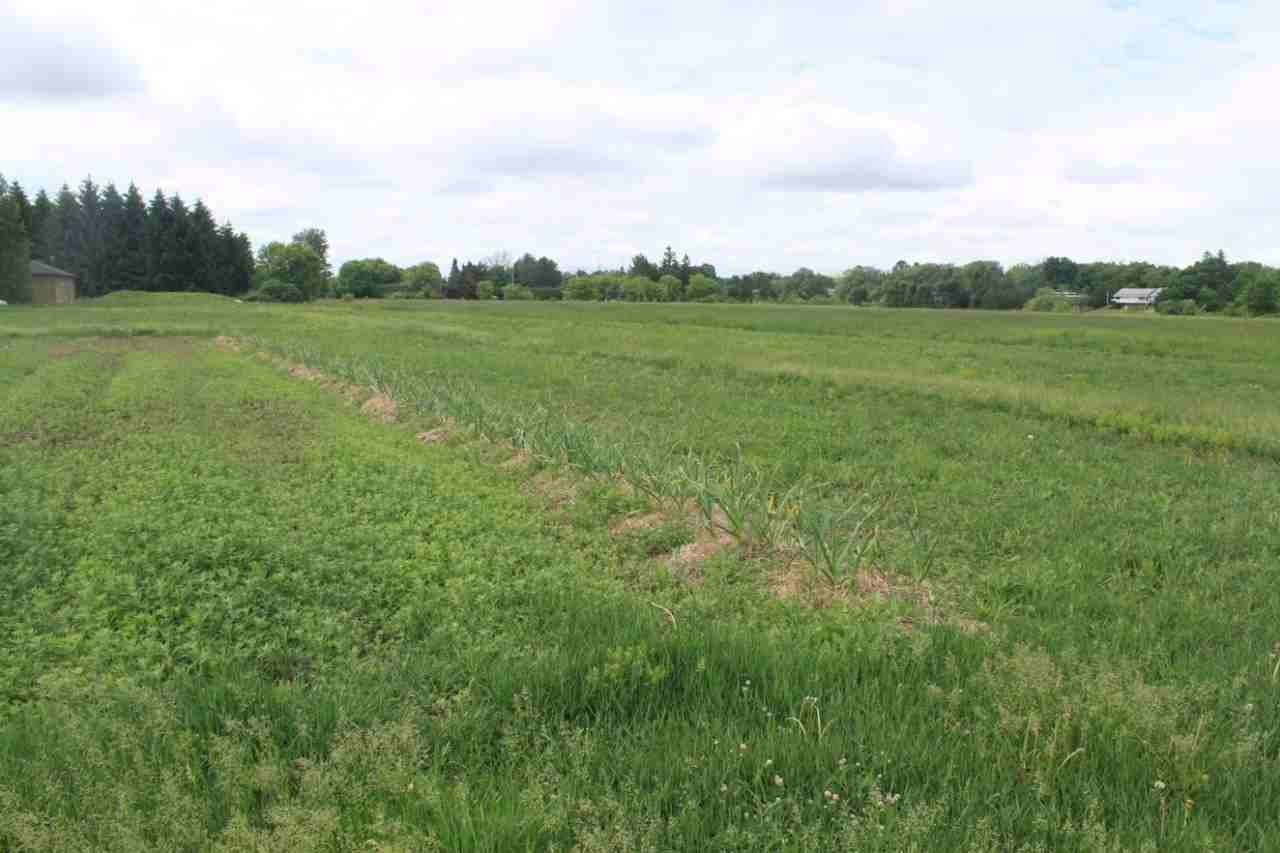 436 River Rd - Photo 3 of 7