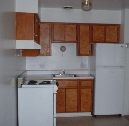 Harper - Photo 3 of 5