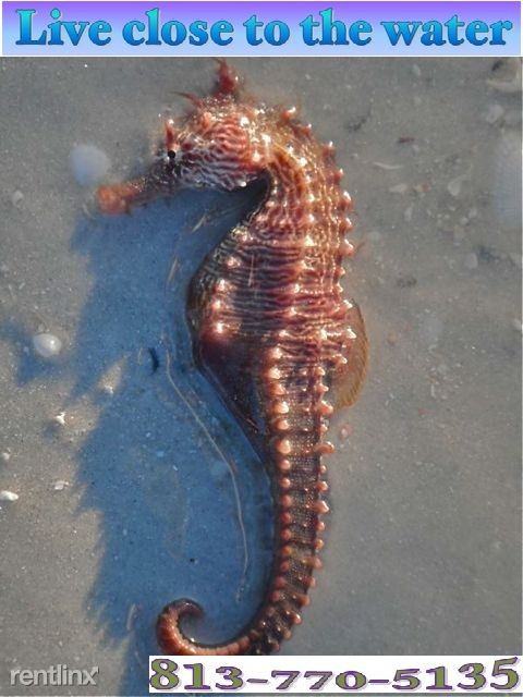 2005 Phyllis Pl #13 - Photo 3 of 4