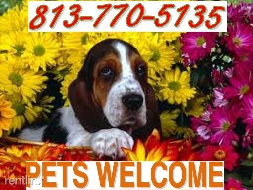 6249 Astoria Dr #66 - Photo 3 of 4