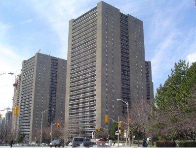 2 Forest Laneway - Photo 2 of 2