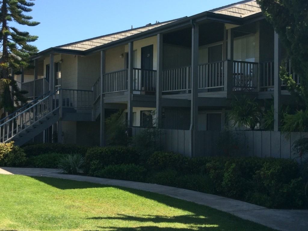 Domingo Pines - Photo 2 of 20