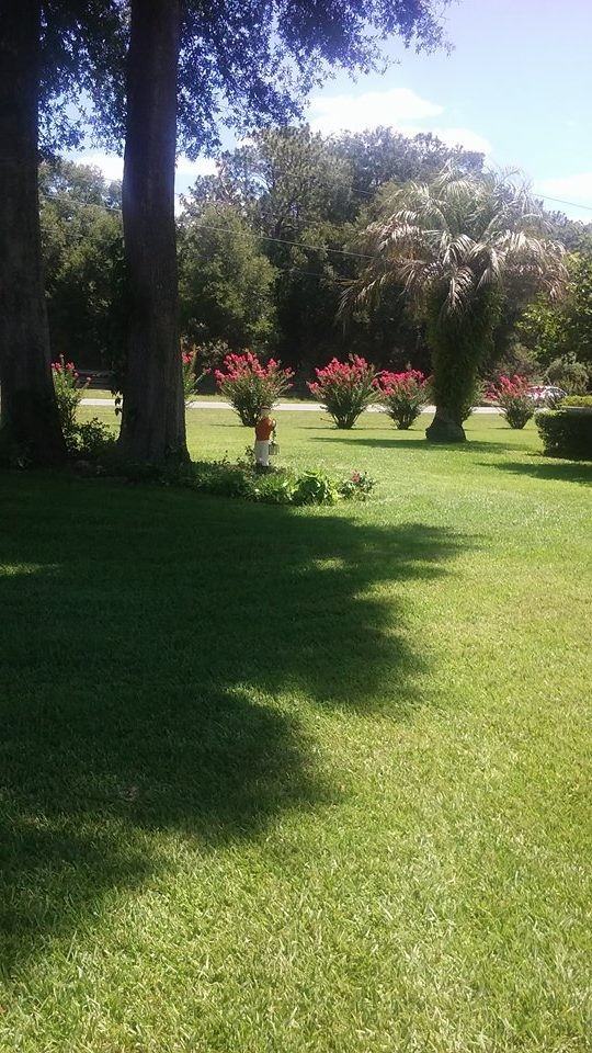 10605 SW 68th Terrace - Photo 3 of 16