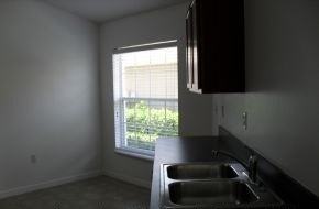 9145 Southern Charm Cir - Photo 3 of 8