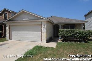 14215 Purple Martin - Photo 2 of 19