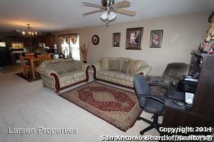 14215 Purple Martin - Photo 3 of 19