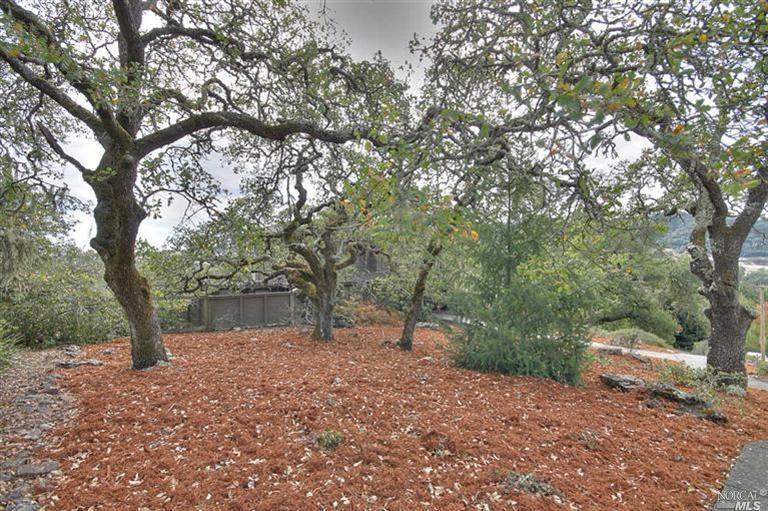 4740 Woodview Dr - Photo 3 of 25