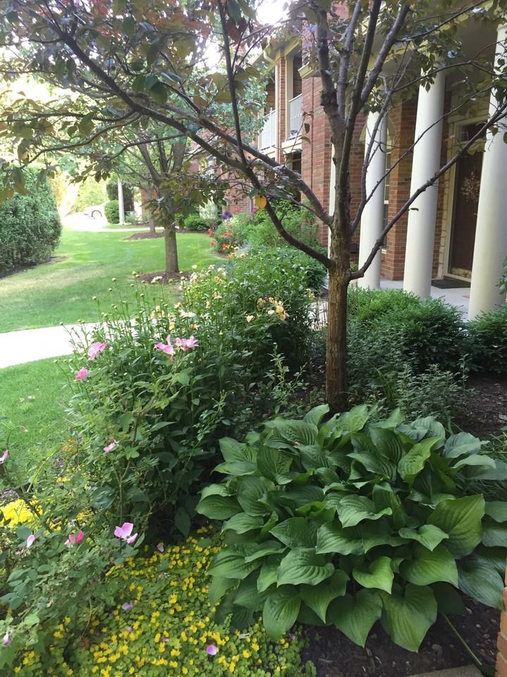 3567 Tremonte Circle - Photo 2 of 21