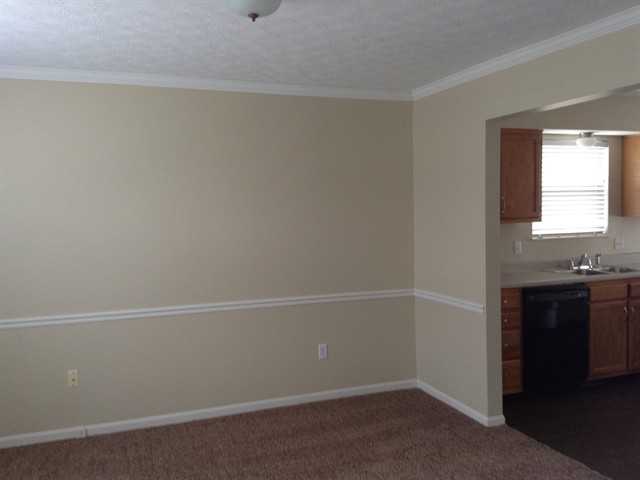 4237 Muscovy Ln - Photo 3 of 15