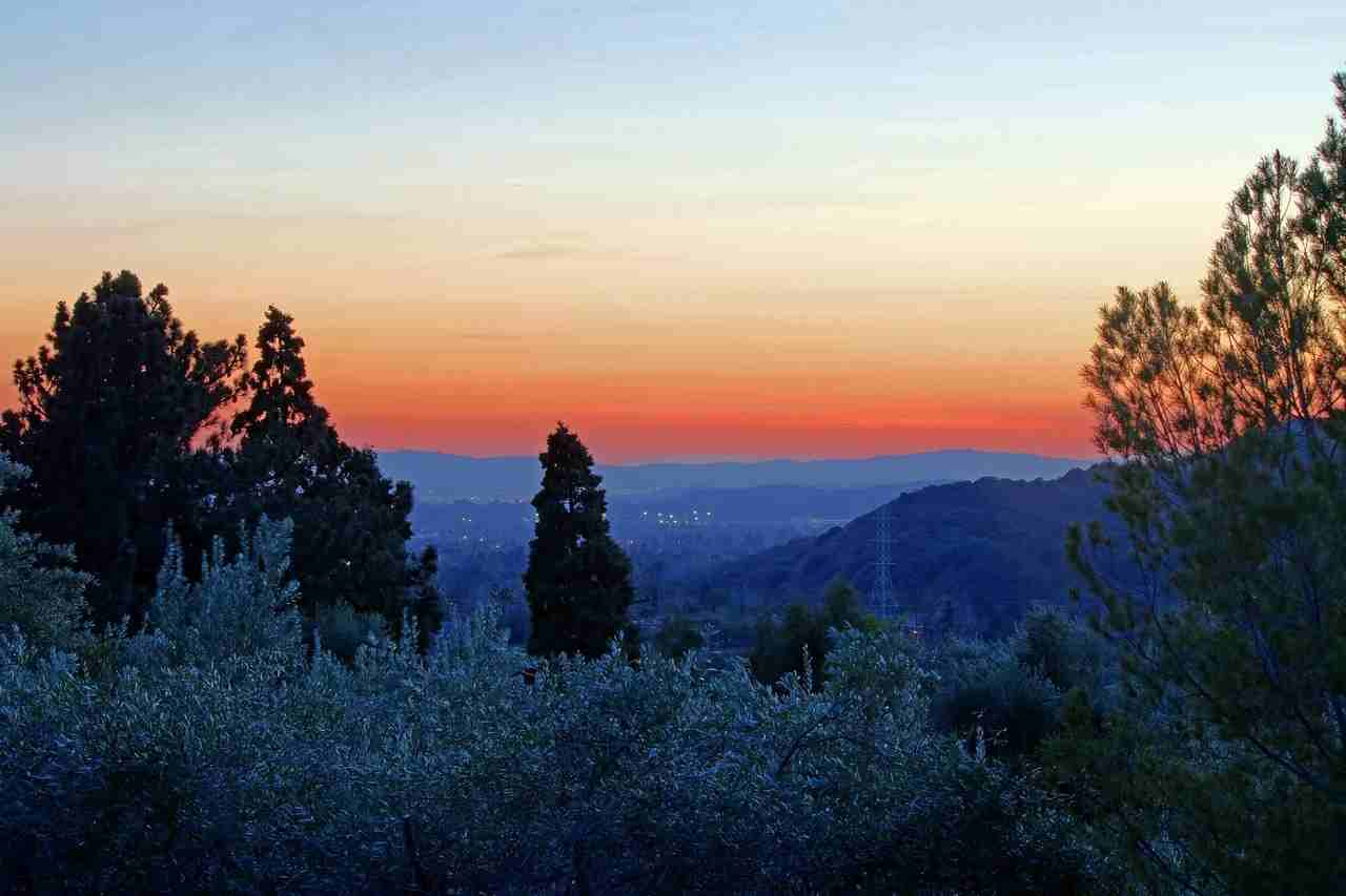 4077 Olive Hill Dr - Photo 2 of 33