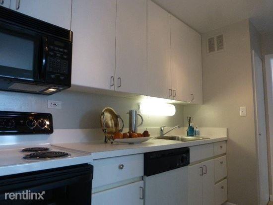 3450 N Lake Shore Dr - Photo 3 of 16