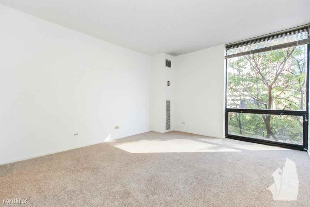 1120 N La Salle Dr - Photo 3 of 12