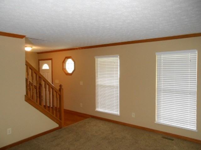 375 Highbanks Valley Dr - Photo 3 of 12