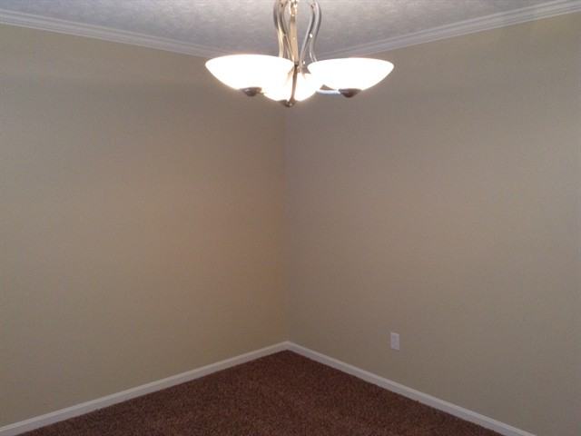 989 Vixen Dr - Photo 3 of 16